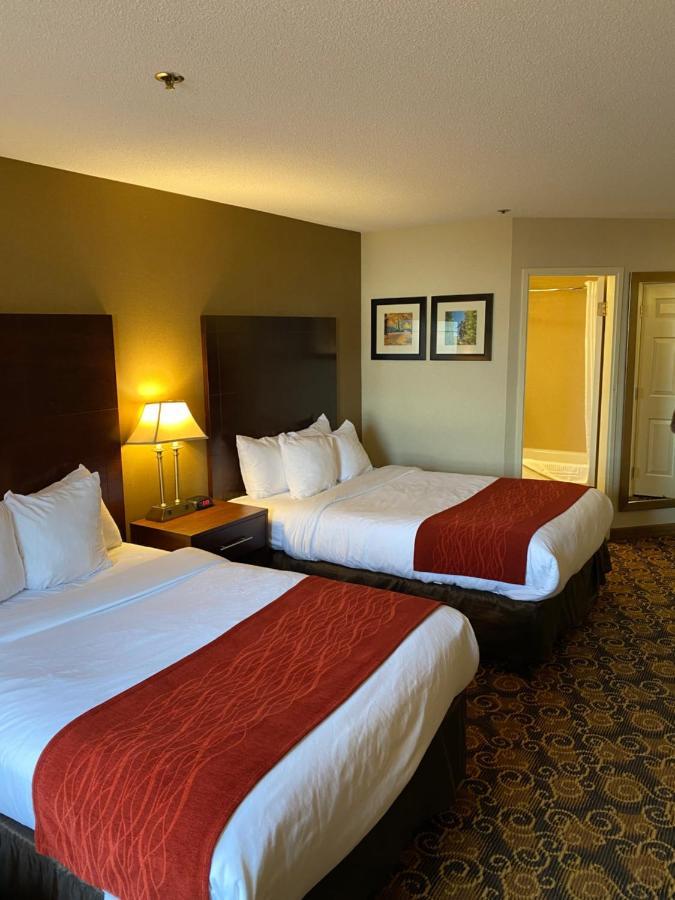 Comfort Inn Rockland - Boston Luaran gambar